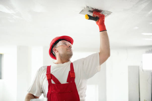 Best Wallpaper Removal and Painting  in Mcminnville, TN